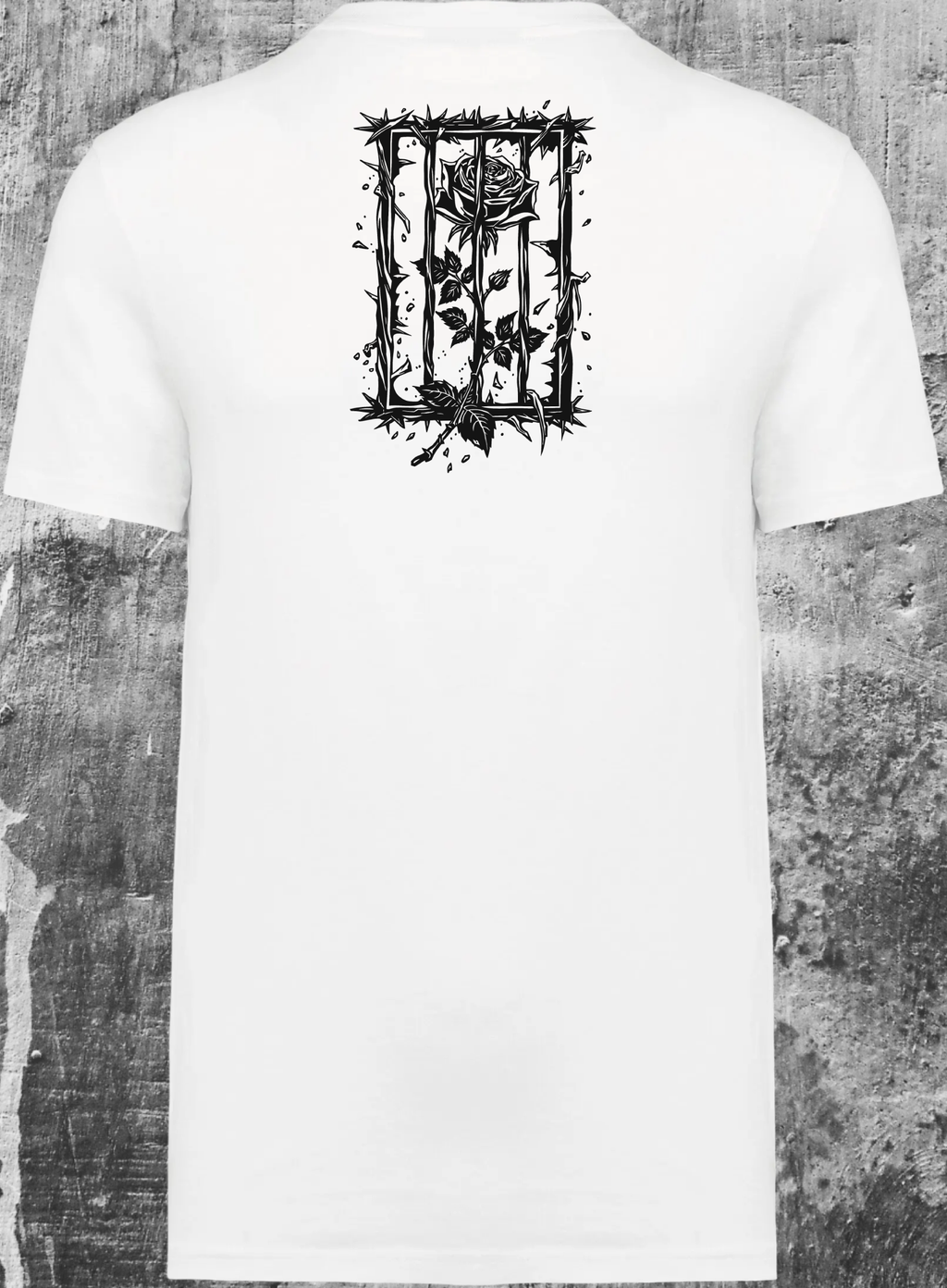 Bloom & Decay