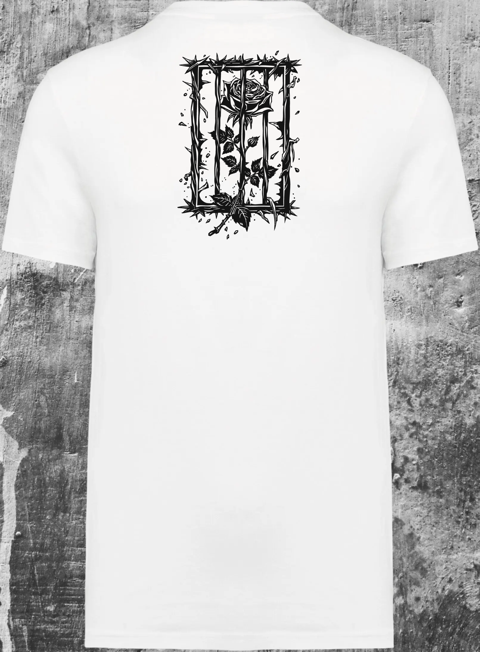 Bloom & Decay